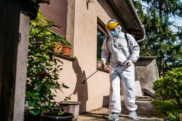 Best Wasp Removal Services  in Taylor, AZ